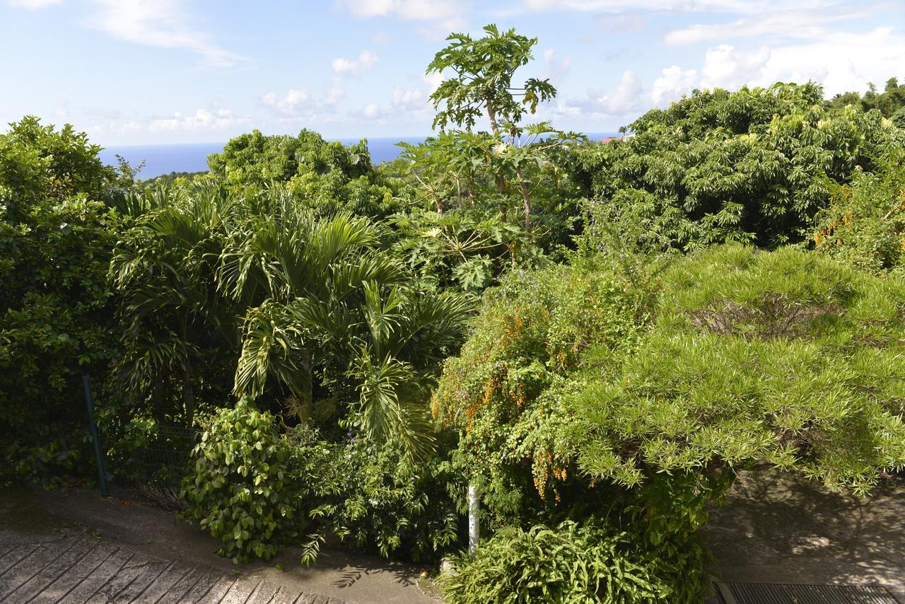 Villa Helena B&B แซ็งต์-มารี ภายนอก รูปภาพ